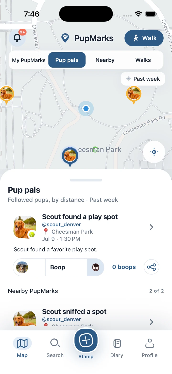 Shared sniff and play PupMarks from Pup pals near Cheesman Park in Denver